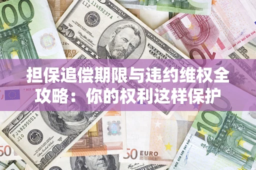 济南担保追偿期限与违约维权全攻略：你的权利这样保护
